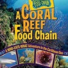 Coral foods can be either target fed directly to each individual coral or broadcast fed throughout the aquarium. Rebecca Wojahn A Coral Reef Food Chain The Local Store
