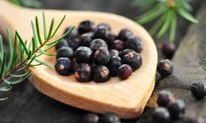 Купить wacholderbeeren, 100 g в москве. Zwischen Den Mahlzeiten Wacholderbeeren Kauen Mangelernahrung So Kehrt Die Freude Am Essen Zuruck Praxisvita De