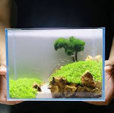 Third, manage placing the substrate. Aquascaping Definitive Guide With 25 Best Aquascaping Ideas