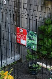 Make sure it's tall enough bury your fence 12 inches underground; Our New Garden And Tips To Keep Animals Out Nesting With Grace