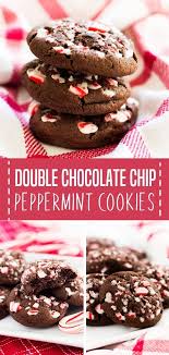Double Chocolate Chip Peppermint Cookies Peppermint Cookies Chocolate Recipes Cookies Recipes Chocolate Chip