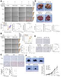 You've found nz's fairest telco! Nanoparticle Mediated Delivery Of 2 Deoxy D Glucose Induces Antitumor Immunity And Cytotoxicity In Liver Tumors In Mice Sciencedirect