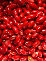 Image result for Synsepalum