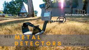 We will not only show you how to choose a detector that is best for you but also present you with the top. The Best Metal Detectors For Beginners In 2021 Metal Detecting