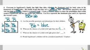 Spongebob is heterozygous for his square shape, but spongesusie is round. Bikini Bottom Genetics Review Youtube