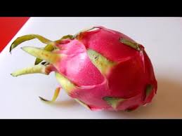 Dragon fruit is a tropical fruit that is native to central america. How To Eat Dragon Fruit Youtube