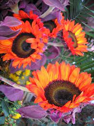 Saw At A Florists Shop Purple Petals Bright Orange Sunflowers Though I Know There Are Orange Sunflowers I Ve Neve Orange Sunflowers Florist Shop Sunflower