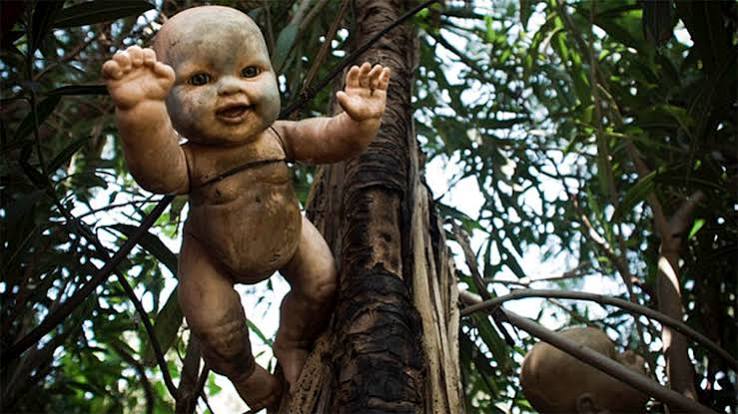 What Is the Island of Dead Dolls: Mexico's Scariest Tourist Trap? | Goalcast