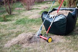 The most common approach to lawn dethatching is the dethatching rake. When How To Dethatch A Lawn After Care Tips
