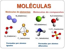 Ser vivo: Resultante interacción genoma-ambiente: ATOMOS Y MOLECULAS