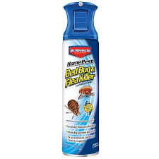 Bayer Advanced Bed Bug And Flea Killer 15 7 Fl Oz Bed Bug Killer In The Pesticides Department At Lowes Com