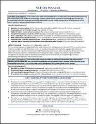 technology sales resume example
