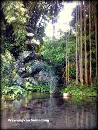 Mengusung konsep waterpark, tempat wisata di sumedang ini menyuguhkan banyak dengan harga tiket yang cukup terjangkau anda bisa menikmati setiap keseruan yang disuguhkan di kampung karuhun. Wisata Sumedang Mata Air Sirah Cipelang Tempat Wisata Indonesia