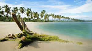 Beautiful Pictures Nature Hd 3d Landscape Wallpaper Hd Nature Wallpapers Best Nature Wallpapers Hd