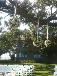 Maybe you would like to learn more about one of these? Hanging Kissing Balls From Tree For Outside Wedding Rose Buds Tree Wedding Outside Wedding