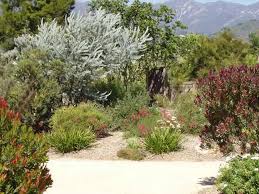 Terraced flowerbeds and rock sculptures in the midst of the minnesota wilderness. Amazing Australian Native Garden Design Ides