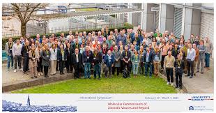 Martin Schwemmle & Team