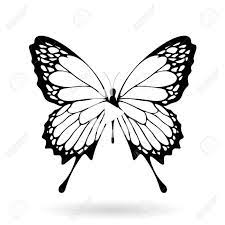 Vector Illustration Of A Black Butterfly Silhouettey Isolated On A White Background Illustration Butterfly Illustration Butterfly Painting Butterfly Tattoo