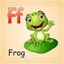 Animals Alphabet F Is For Frog In 2020 Animal Alphabet Alphabet For Kids Alphabet