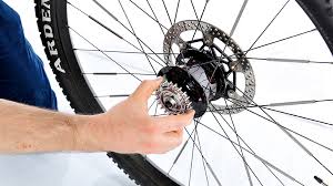 Riemenantrieb Am Fahrrad Tipps Und Anleitung Zur Umrustung