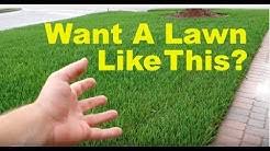Lawn care tips for beginners | fix your lawn in 3 steps from allyn hane, the lawn care nut. The Lawn Care Nut Youtube