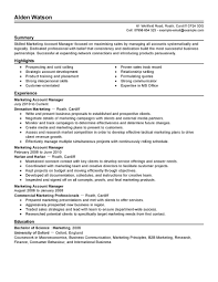 accounting manager cv sample free resume template - April.onthemarch.co