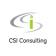 CSI Consulting logo