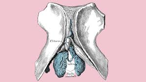 Diese barriere entsteht zum einen dadurch, dass die vaginalschleimhaut die scheide von innen auskleidet. Deswegen Schmerzt Die Klitoris Nach Dem Sex Wmn