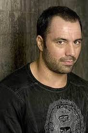 So who is his partner, jessica ditzel. Comic Joe Rogan Gets Into Fatherhood Zen Ultimate Fighting Orange County Register