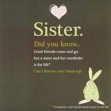 Birthday Quotes For Brother From Sister Funny Ec5000e68f233155b433b9abb27c916f Jpg 736 736 Motivasi
