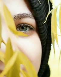 Pin On Yellow