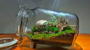 Kerikil kecil dan pasir putih; 100 Gampang Cara Membuat Terarium Sederhana Youtube