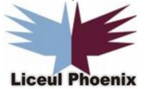 Contextul legislativ realizarea documentelor de proiectare. Regulament Intern Liceul Teoretic Phoenix