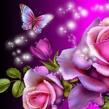 Butterfly Love Purple Butterfly Wallpaper Butterfly Wallpaper Rose Wallpaper
