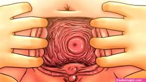 hentai cervix - Free Hentai Pic