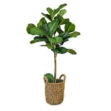 Werkzeug und baumaterial für profis und heimwerker. Plant Faux Plants Trees Joss Main