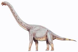The Dinosaurs And Prehistoric Animals Of Arizona Prehistoric Animals Prehistoric Animals