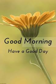 Best Good Morning HD Images, Wishes, Pictures and Greetings