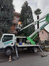 Profile for Salvati giardinaggio