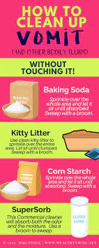 How To Clean Up Vomit Without Touching It