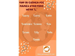 Meanings and origins of female names that start with the letter l. Guinea Pig Name Idea Guinea Pig Names For Boys Girls Guinea Pig 101
