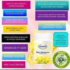 Ersag Panosundaki Pin