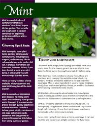 Where does mint grow naturally? Herb Gardening 101 Growing Mint
