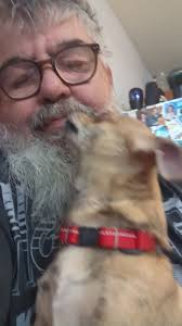 Pan-icked sharks doo-doo, doo-doo, doo-doo.