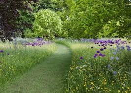 Wild Flower Garden In 2020 Garden Ideas Uk Highgrove Garden Wildflower Garden