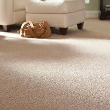 See photos of real living rooms and get inspired for your 16 beautiful blue living room ideas. Types Of Carpet The Home Depot