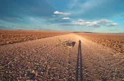 The Interior Plains Interior Plains