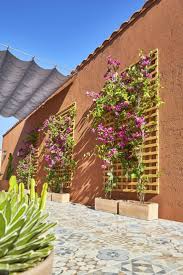 Terrasse 15 Idees Pour Decorer Les Murs Em 2020 Quintal Deserto Jardim Com Terraco Ideias De Quintais