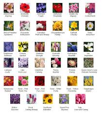 Check spelling or type a new query. Inspirational Flower Images Names With Meaning Top Collection Of Different Types Of Flowers In The Images Hd