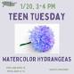 Teen Tuesday - Watercolor Hydrangeas event image